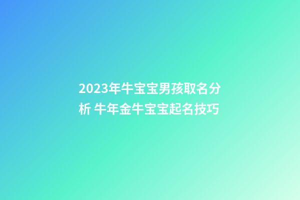 2023年牛宝宝男孩取名分析 牛年金牛宝宝起名技巧